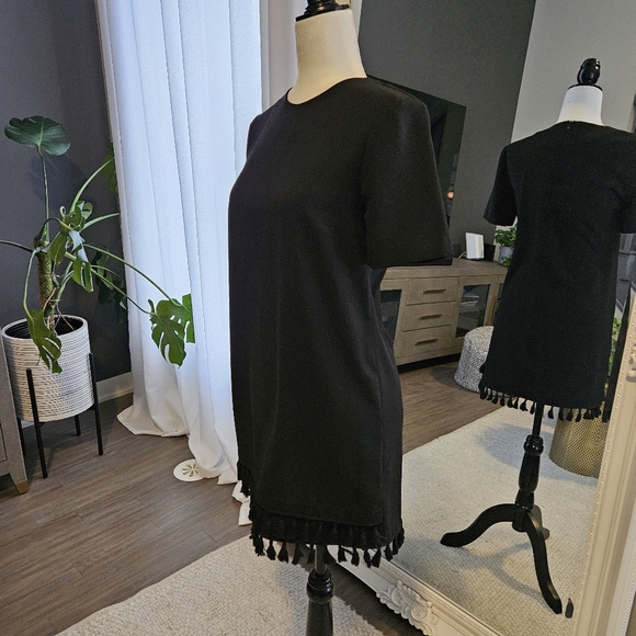 ZARA tassle dress (xs) - Picture 2 of 7